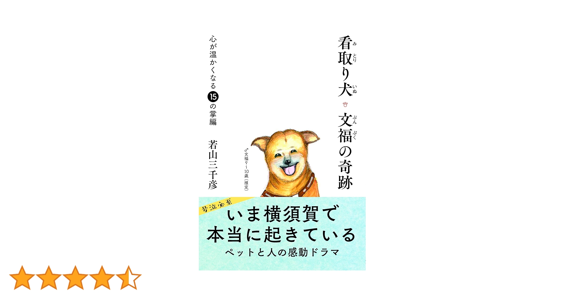 81Ix+d2HjlL.jpg_BO30,255,255,